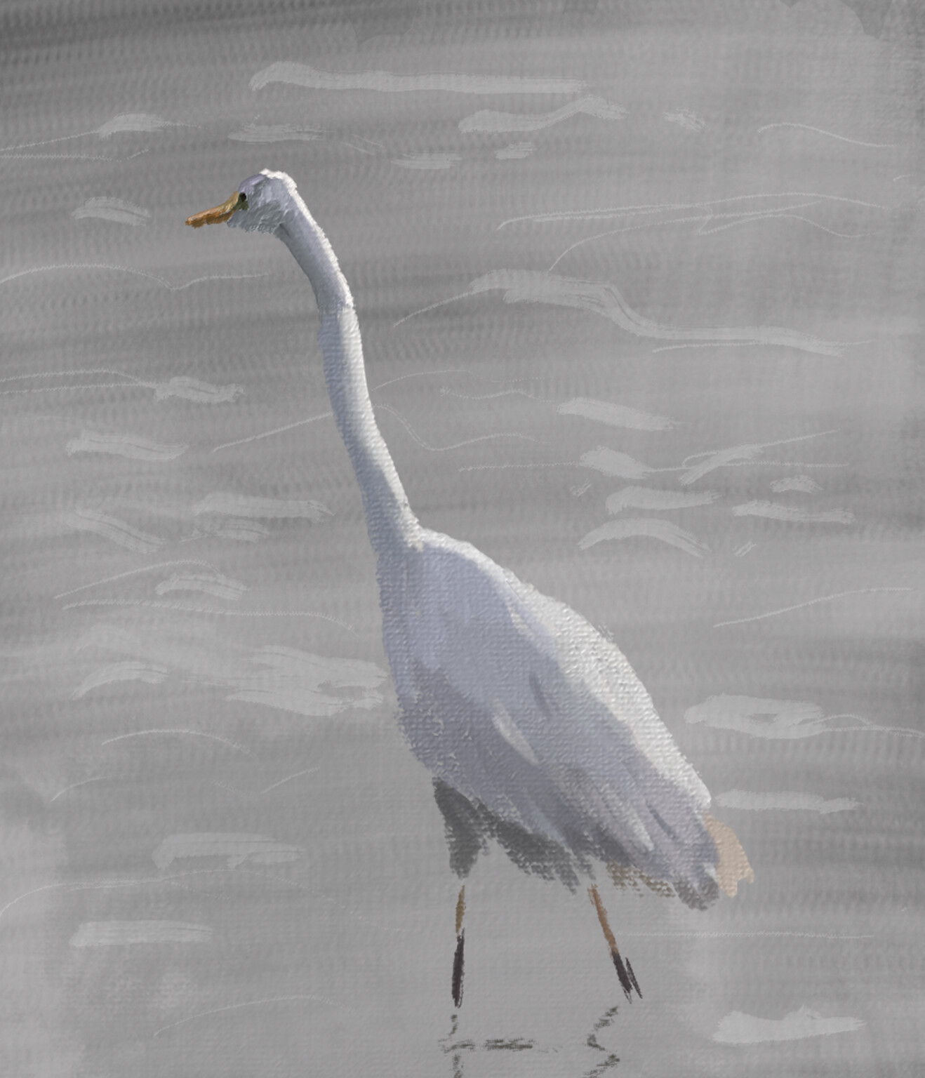 Great white egret
